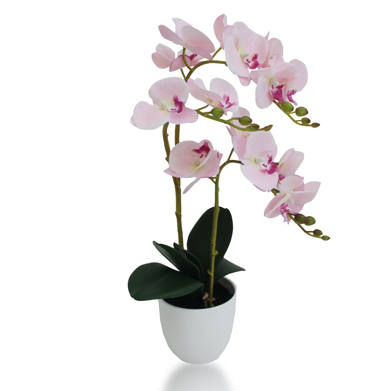 Artificial Orchid Plant With Basic White Pot || 50 CM Height