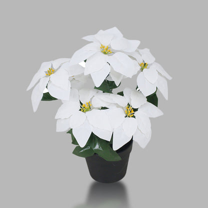 White Poinsettia Plant Artificial With Basic Pot || Size: 45Cm Height