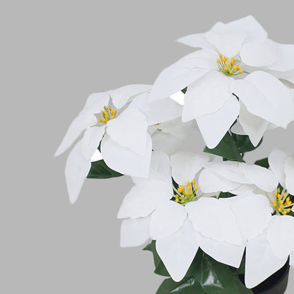 White Poinsettia Plant Artificial With Basic Pot || Size: 45Cm Height