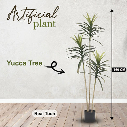 Yucca Tree(160 cm)