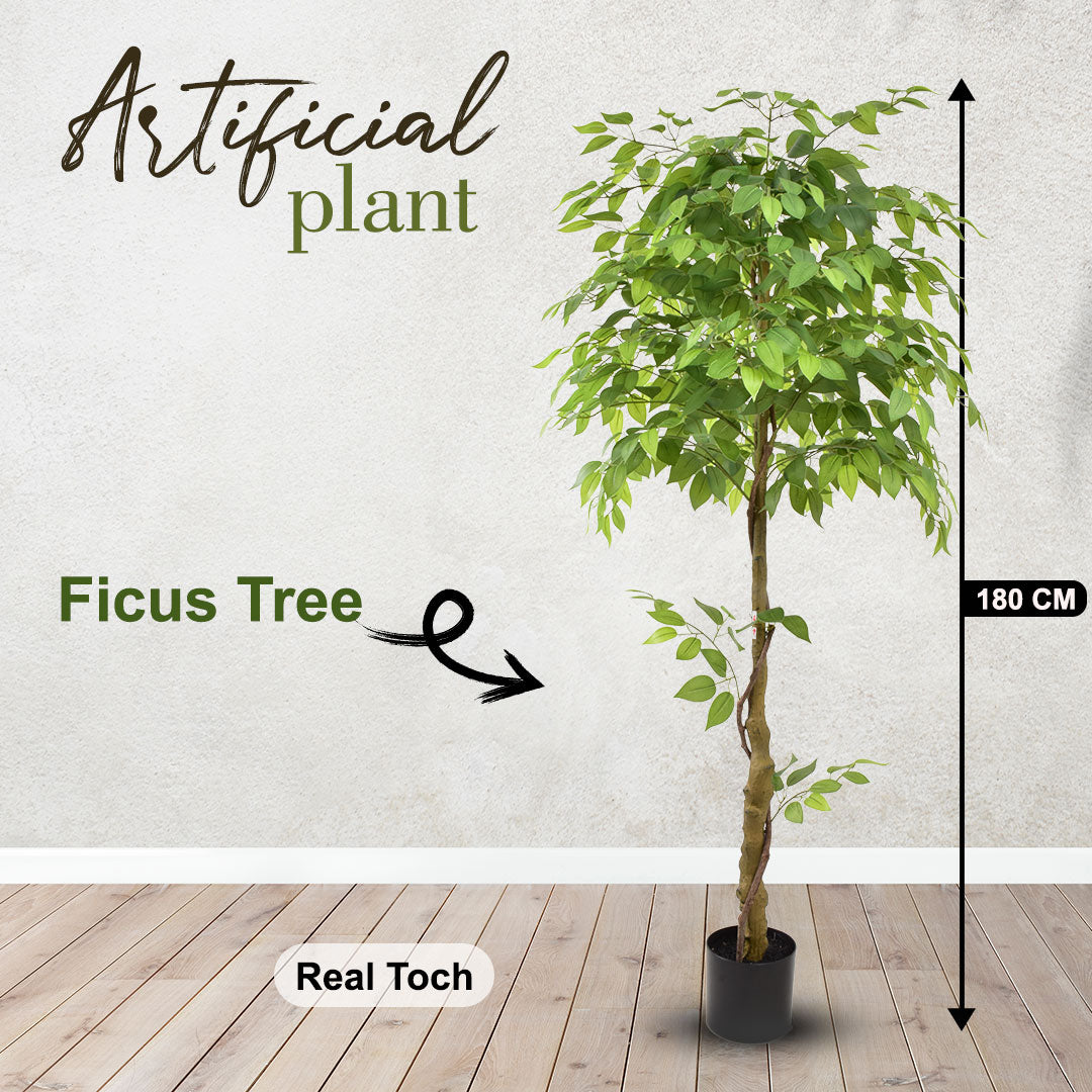 Ficus Tree (180 cm)|Artificial Plant