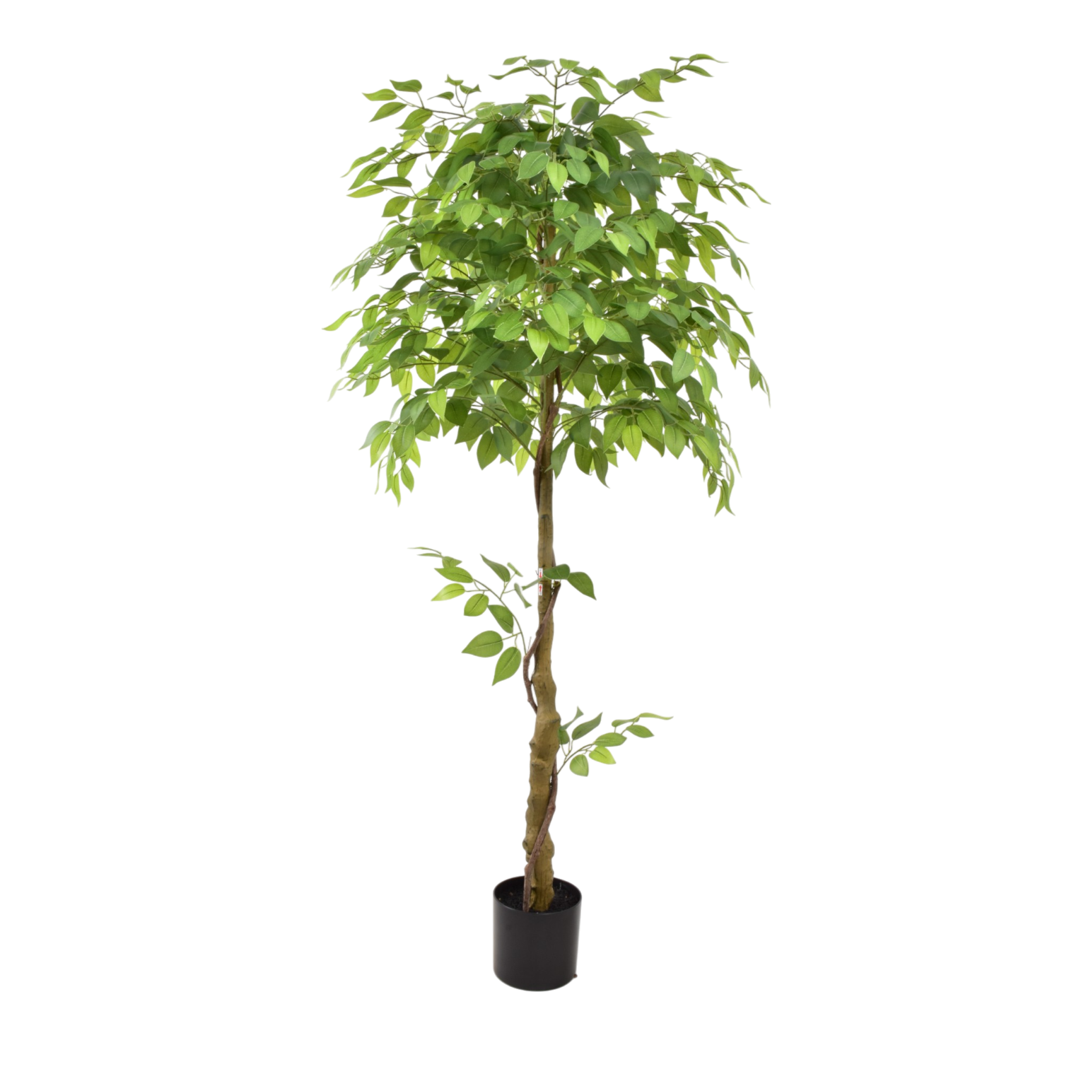 Ficus Tree (180 cm)|Artificial Plant