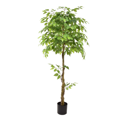 Ficus Tree (180 cm)|Artificial Plant