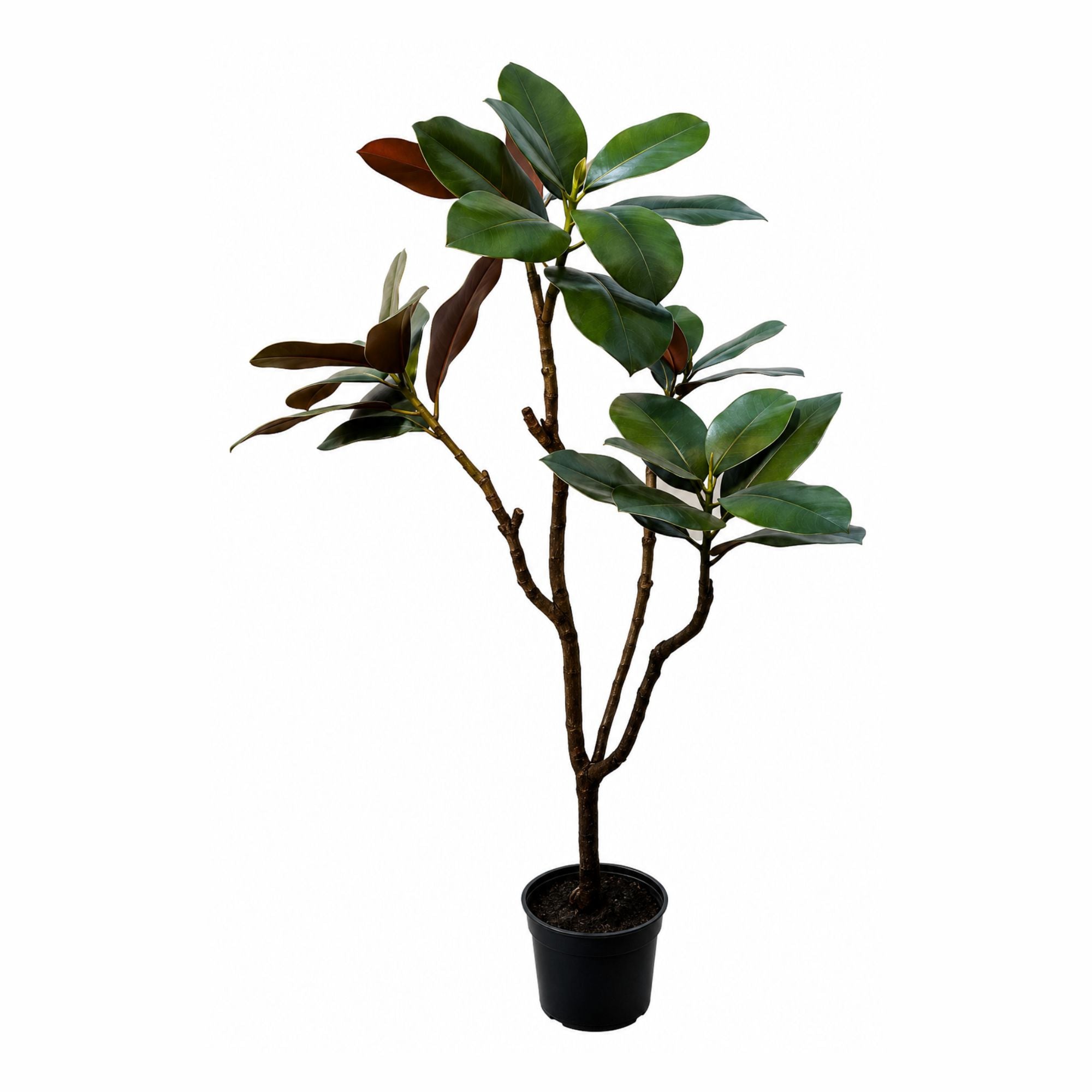 ENUTROF Artificial Rubber Tree Dark Leaf – 120cm Ficus Elastica Fake Plant for Modern Decor ENUTROF