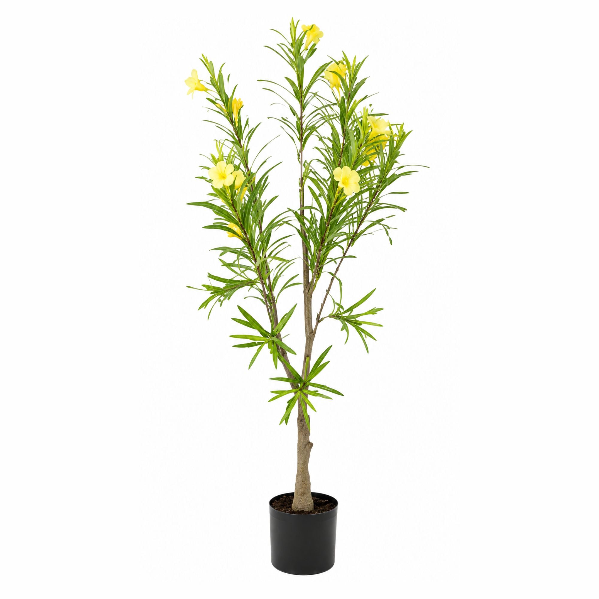 ENUTROF Artificial Yellow Flowering Oleander Tree – 120cm Fake Blooming Plant for Home Decor ENUTROF