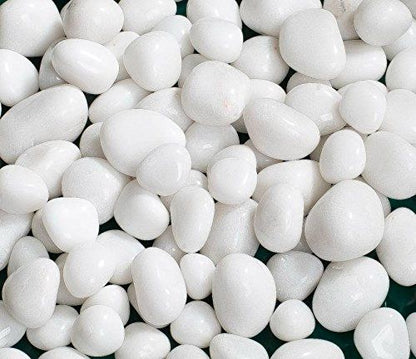 White Polished Pebbles (20–30mm) | Premium Decorative Stones for Home & Garden(Per kgs) Enutrof Decor