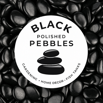 Black Polished Pebbles | Premium Glossy Decorative Stones (per kgs) Enutrof Decor