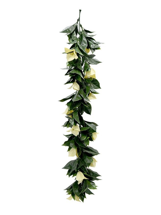 Podocarpus Nagi Hanging Leave (Pack of 3)