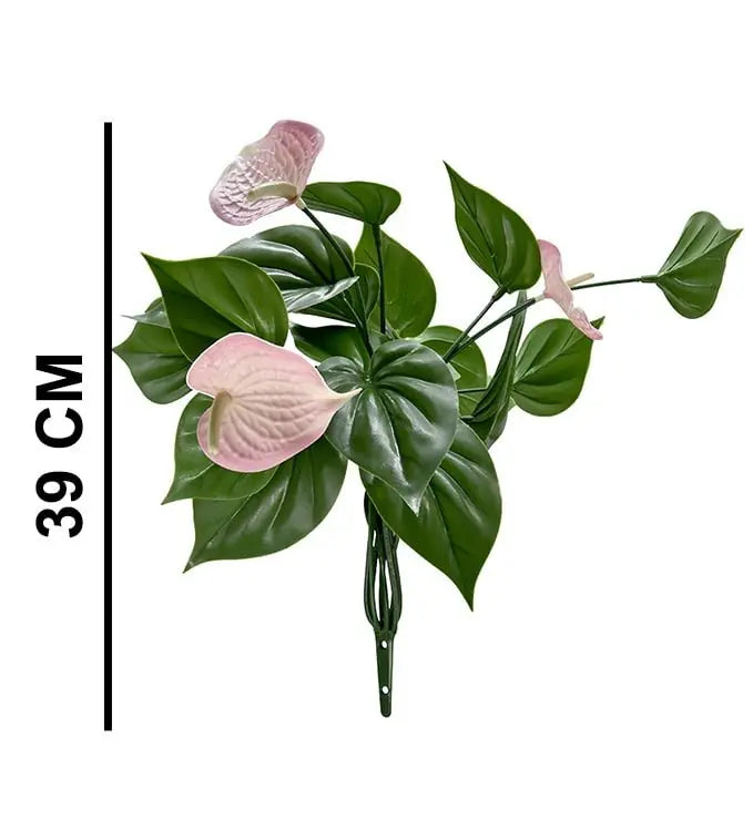 Anthurium Bunch Flower | Pack of 3 My Store