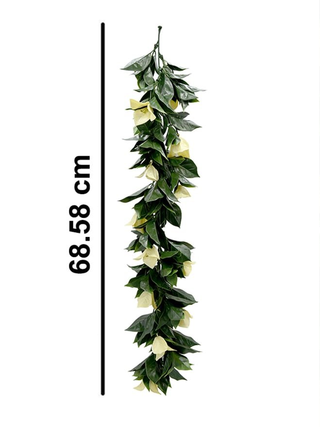 Podocarpus Nagi Hanging Leave (Pack of 3)