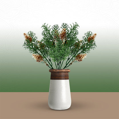 Spruce Plant Bunch | Pack of 3