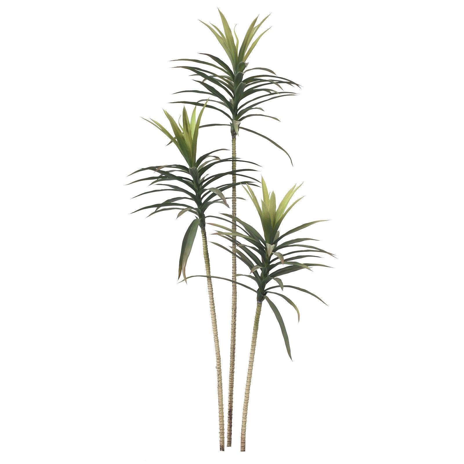 Yucca Tree(160 cm)