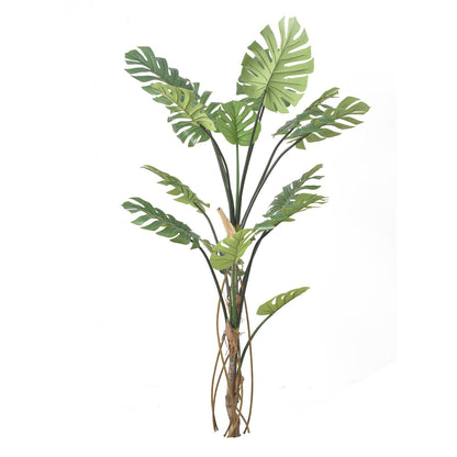 Monstera Tree (175 cm)