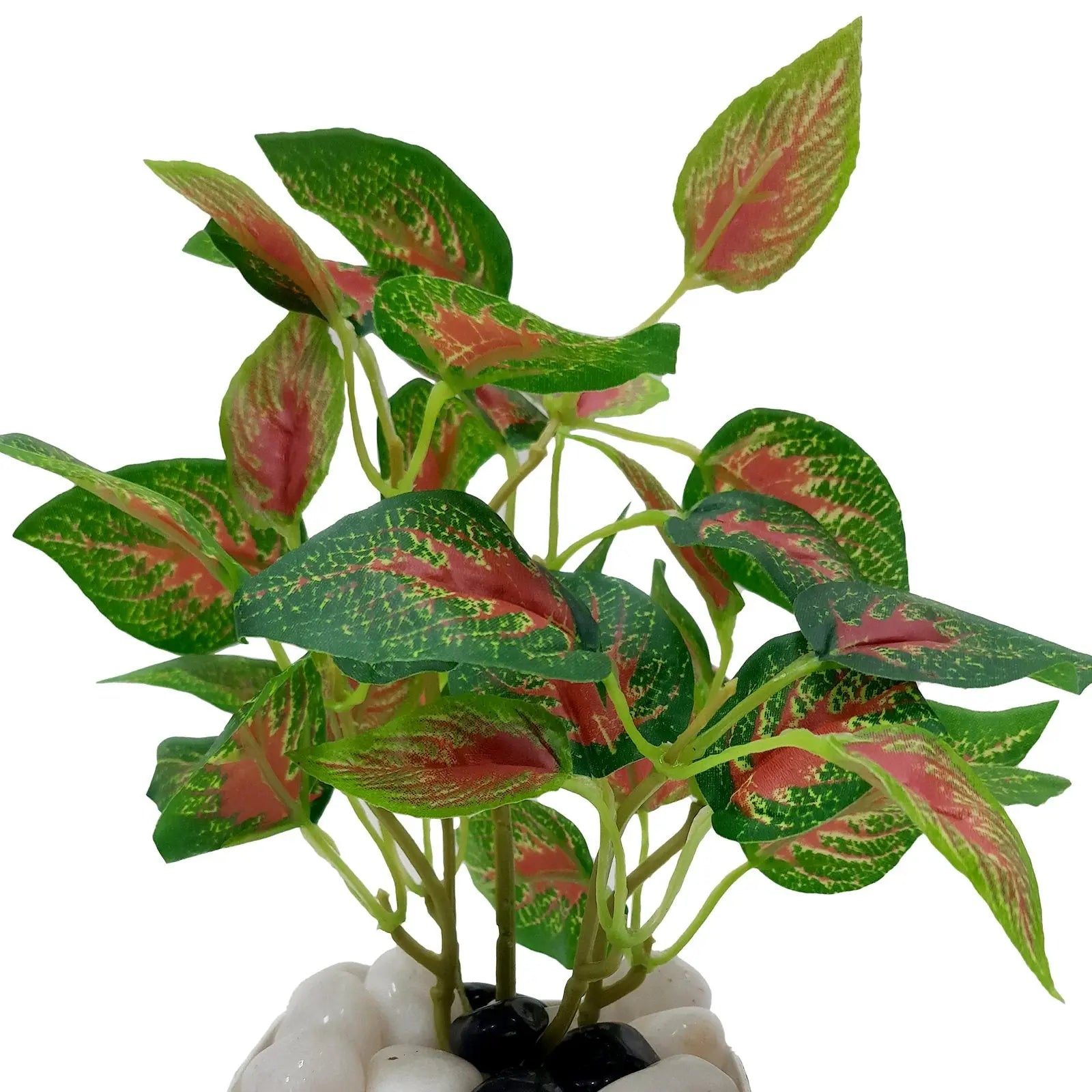 Aglaonema Plant Real Touch Artificial Plant With Basic Pot (Pack of 3) || Size: 40 Cm Size || Color: Green My Store