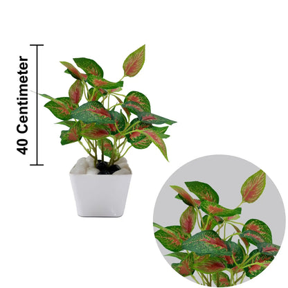artificial aglaonema plant Aglaonema Real Touch Artificial Plant