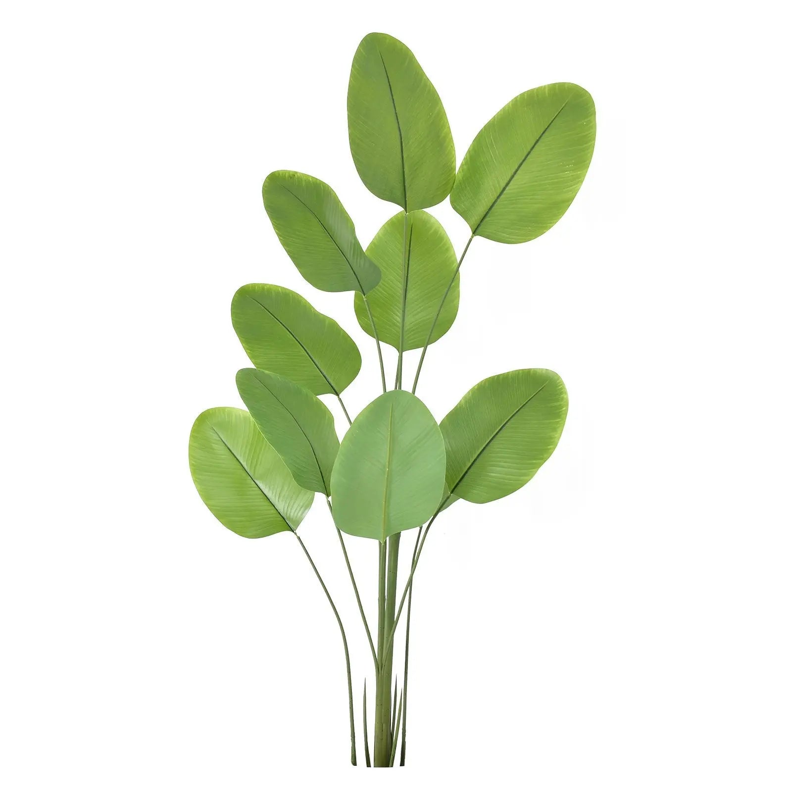 Arrow Artificial Plant (180 CM) My Store