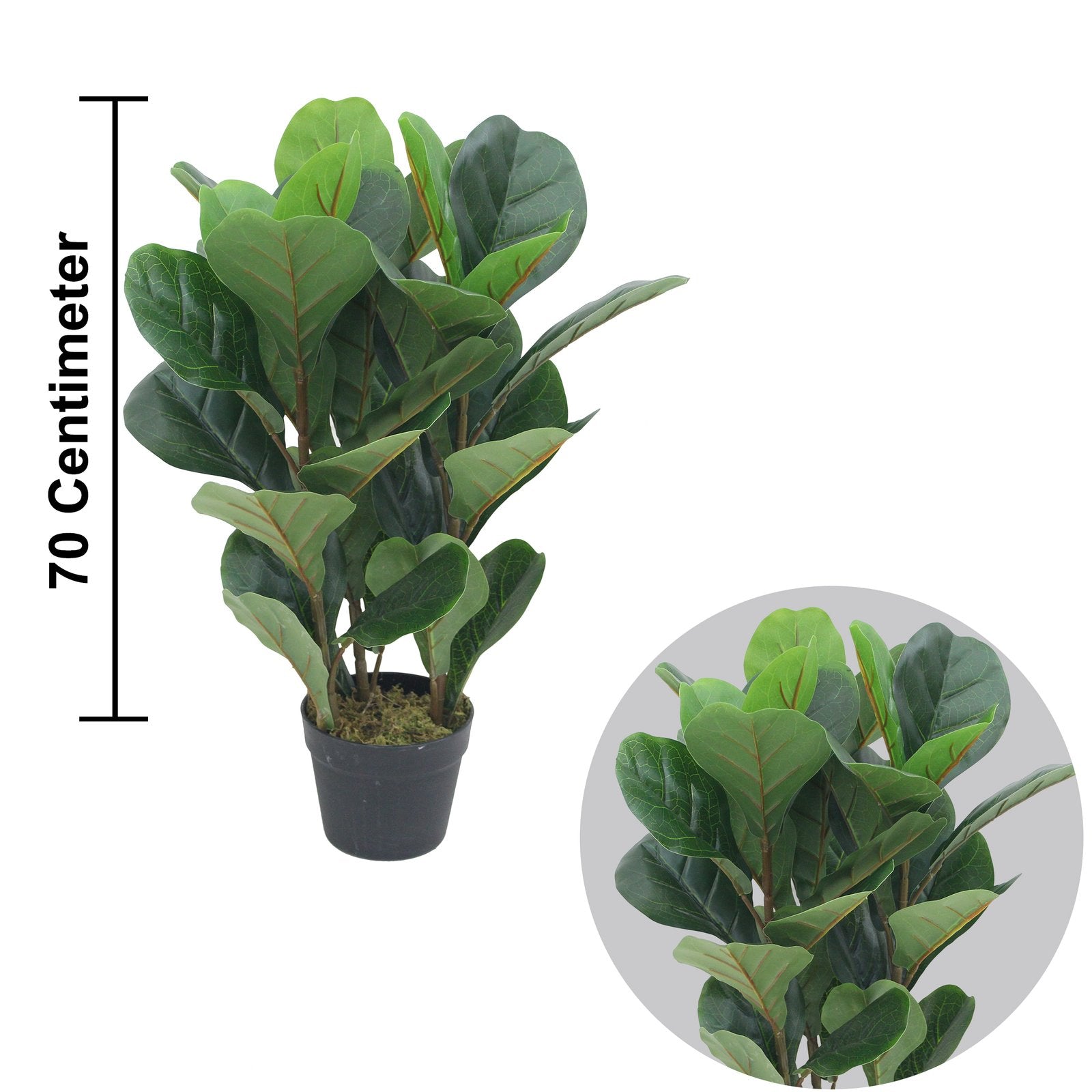 Fiddle Artificial Plants With Basic White Pot ||70cm Height