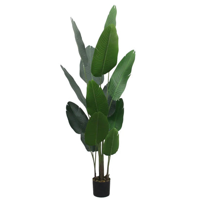 Artificial Banana Tree – 200 CM | Tropical Indoor Greenery Enutrof Decor