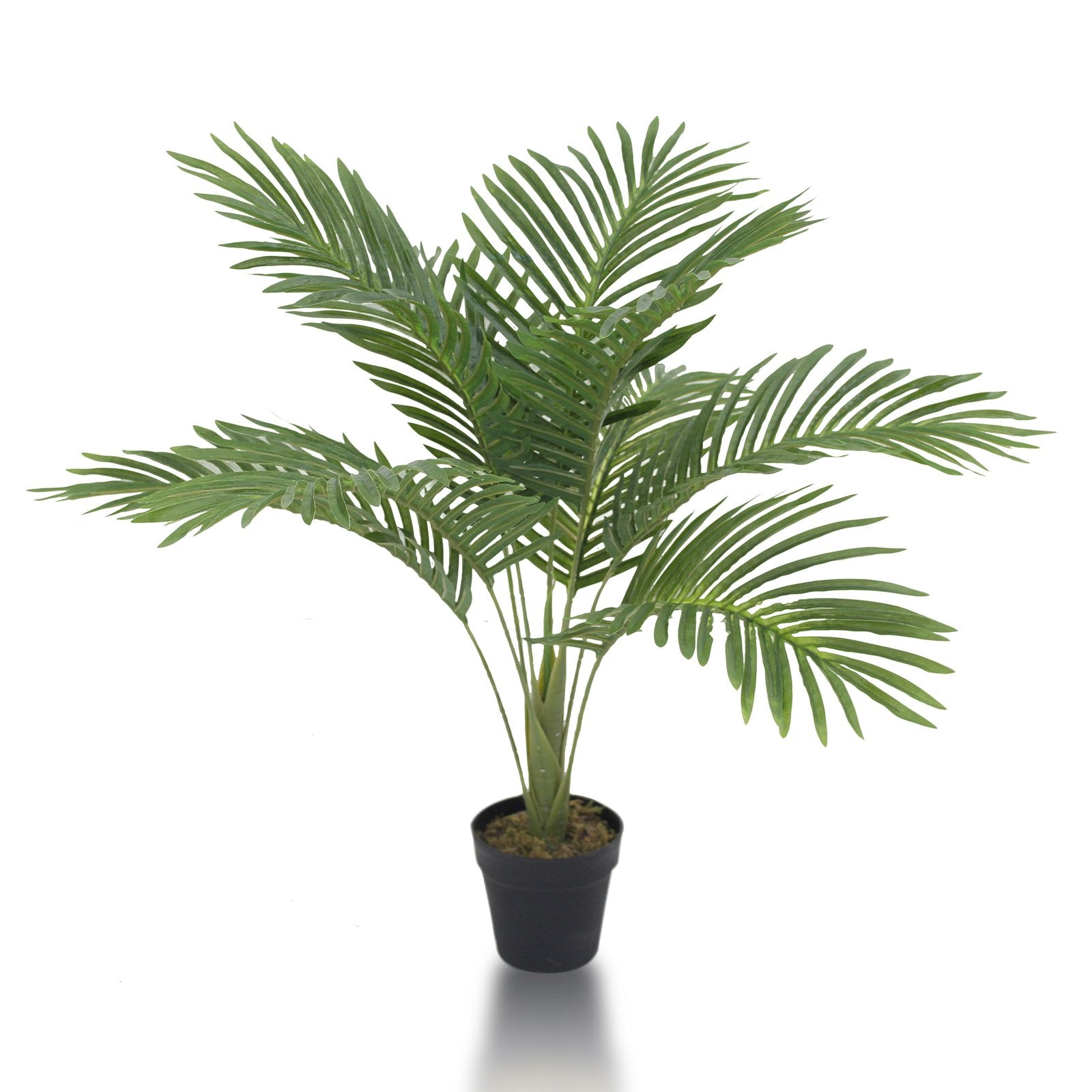 Palm Artificial Plants With Basic White Pot ||75cm Height