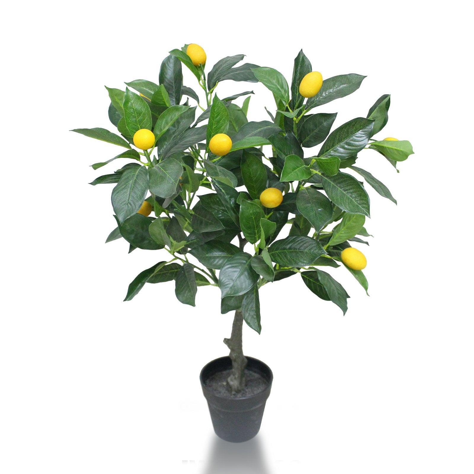 Lemon tree Artificial Plants With Basic White Pot ||70cm Height