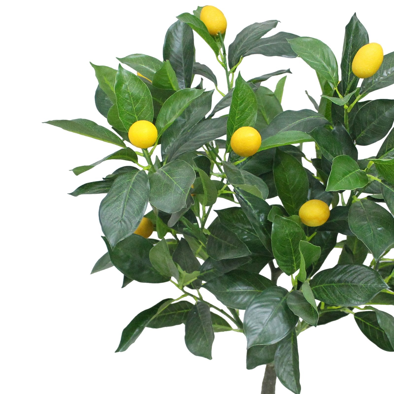 Lemon tree Artificial Plants With Basic White Pot ||70cm Height