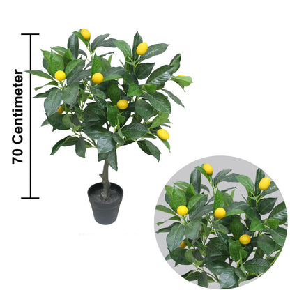 Lemon tree Artificial Plants With Basic White Pot ||70cm Height