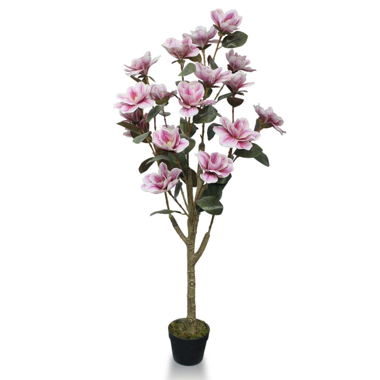 Mangolia Flower Tree Artificial Plants With Basic White Pot ||130cm Height