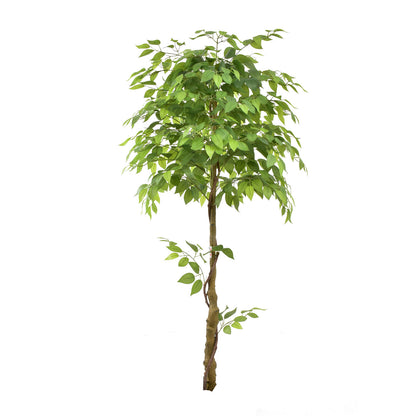 Ficus Tree (180 cm)|Artificial Plant