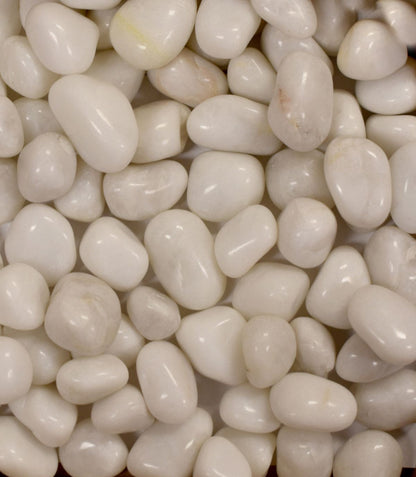 White Polished Pebbles (20–30mm) | Premium Decorative Stones for Home & Garden(Per kgs) Enutrof Decor