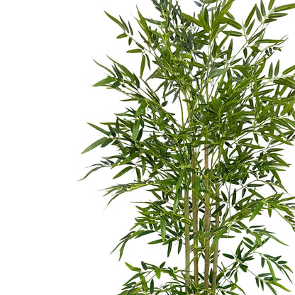 Bamboo Artificial Plant  With Basic White Pot || 180cm Height