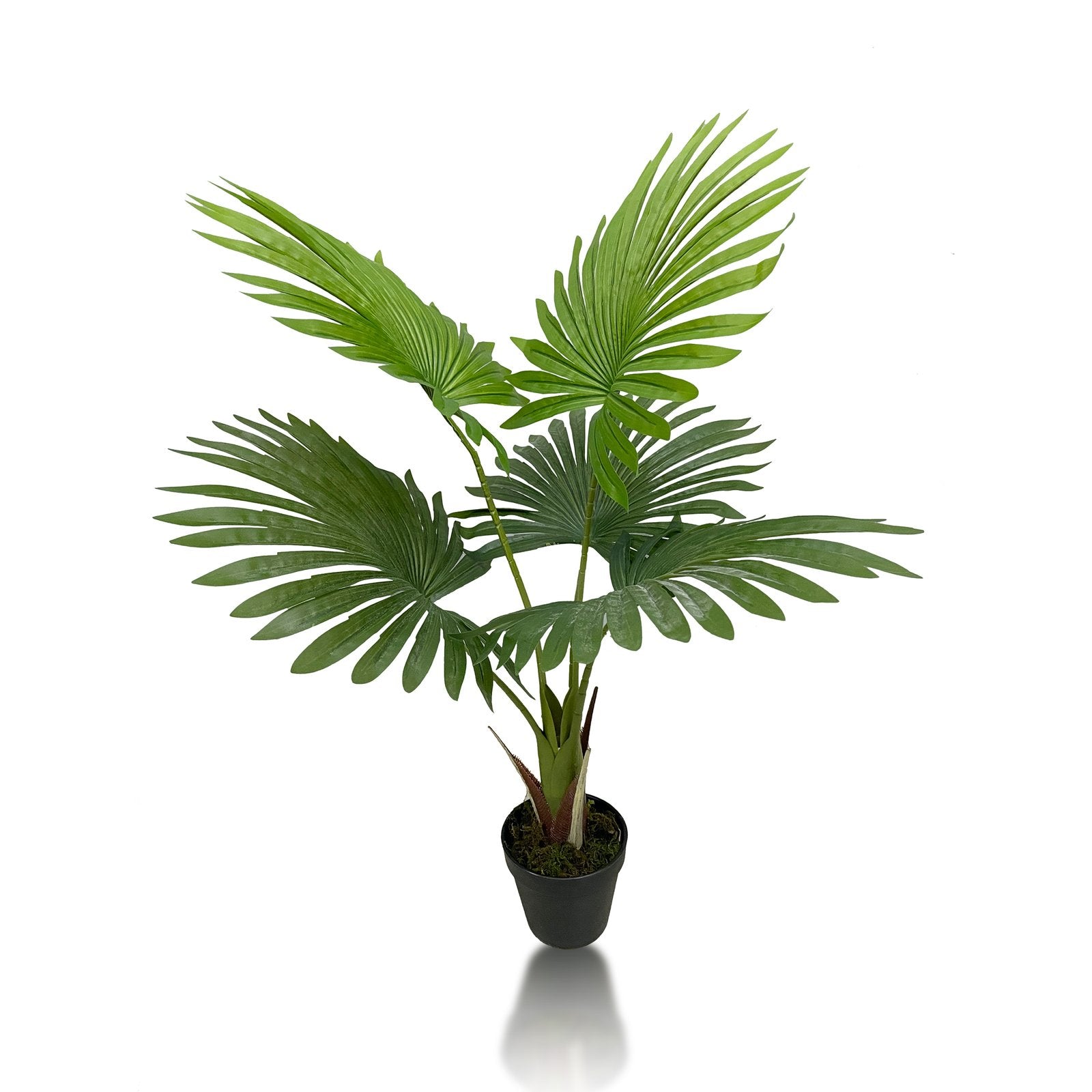 Umbrella Plant Artificial With Basic White Pot || 60cm Height