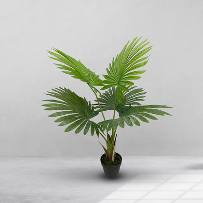 Umbrella Plant Artificial With Basic White Pot || 60cm Height