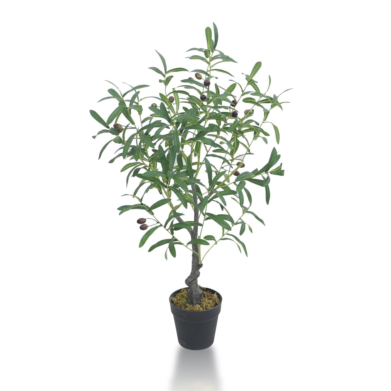 Olive Artificial Plants With Basic White Pot ||85cm Height