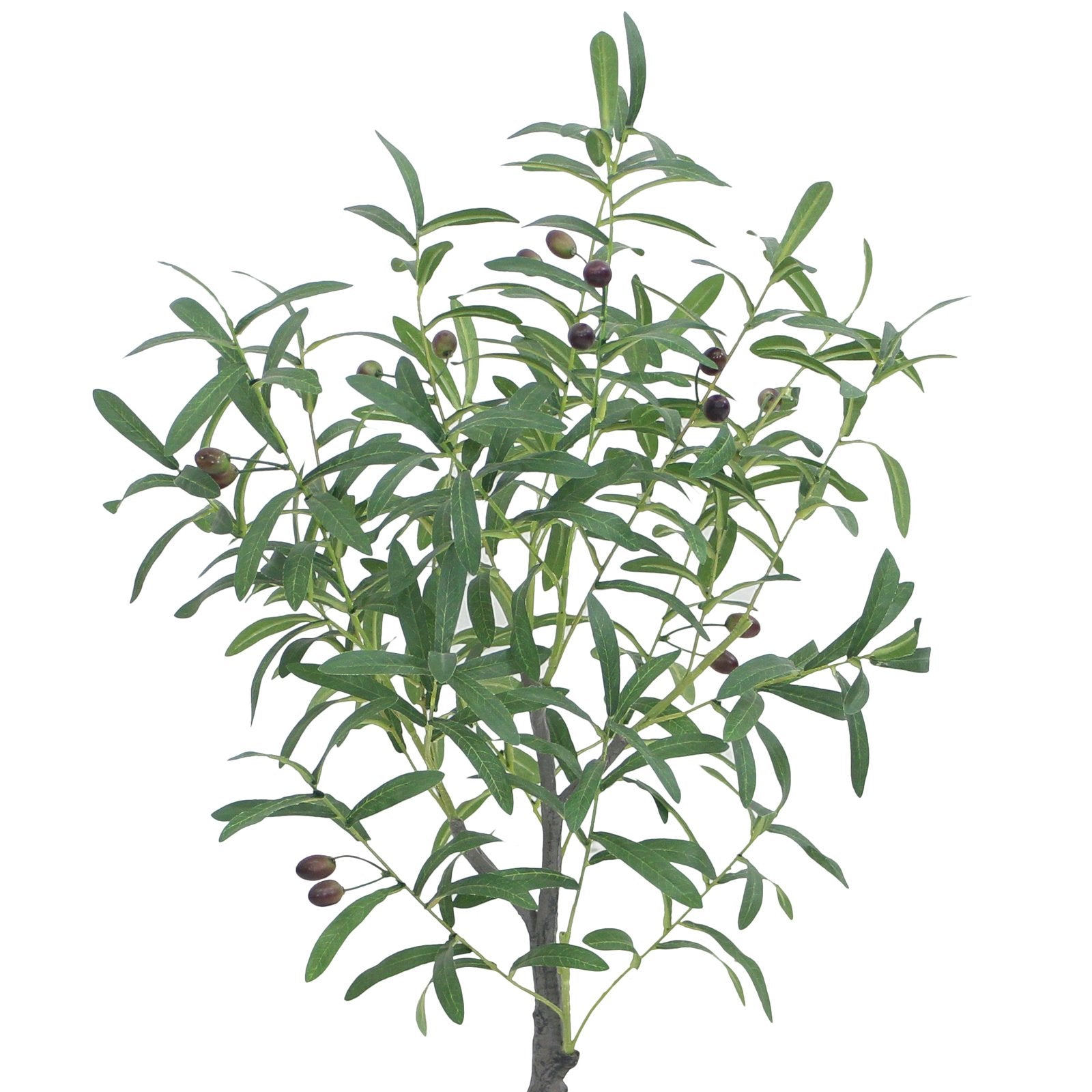 Olive Artificial Plants With Basic White Pot ||85cm Height