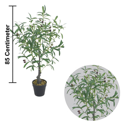 Olive Artificial Plants With Basic White Pot ||85cm Height