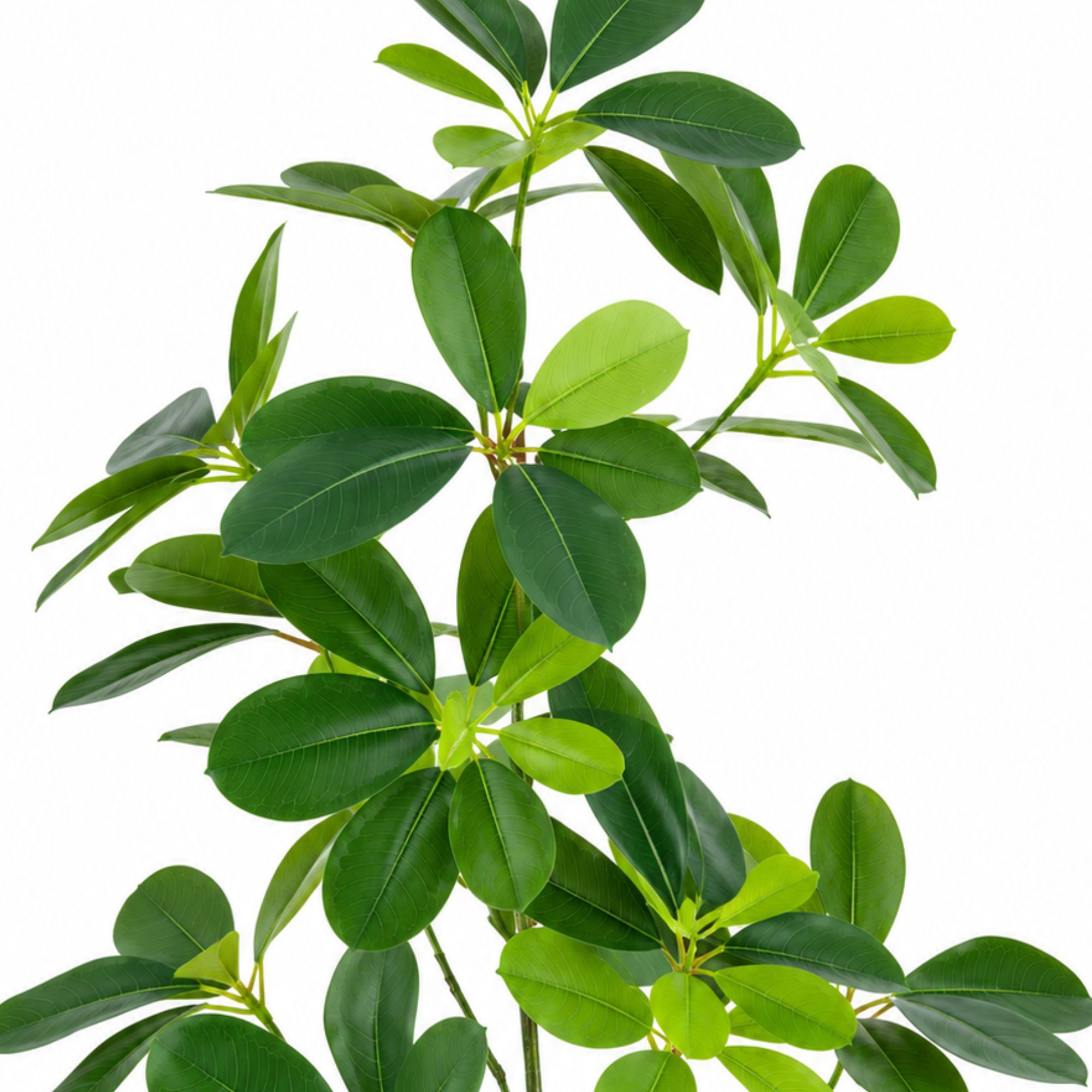 ENUTROF Artificial Small Plant 50cm – Realistic Fake Potted Plant for Desk Home Decor ENUTROF