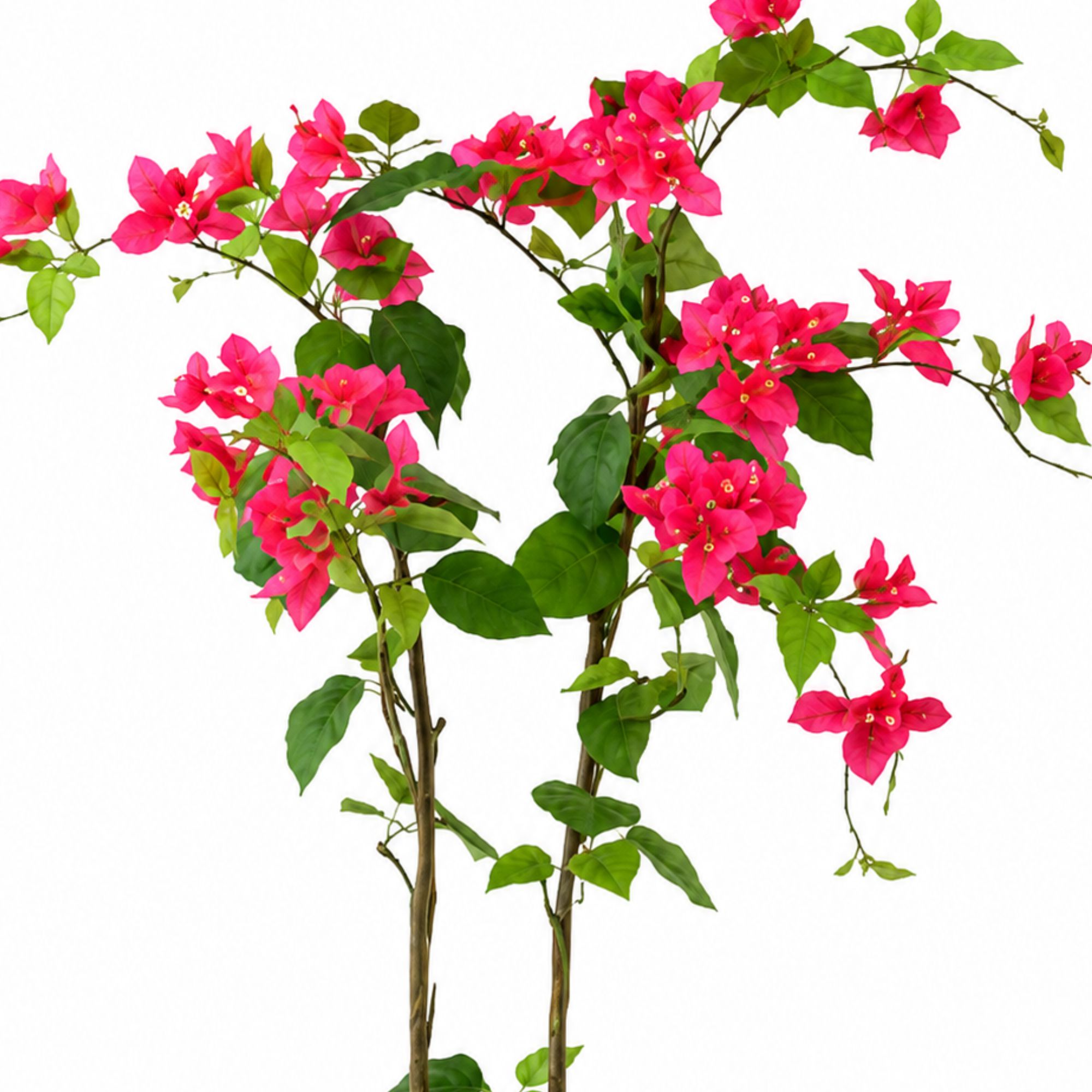 ENUTROF Artificial Pink Bougainvillea Plant – 120cm Fake Flowering Tree for Home & Event Decor ENUTROF