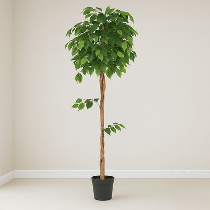 5 ft Artificial Ficus Plant | Realistic Indoor Green Tree Décor Enutrof Decor