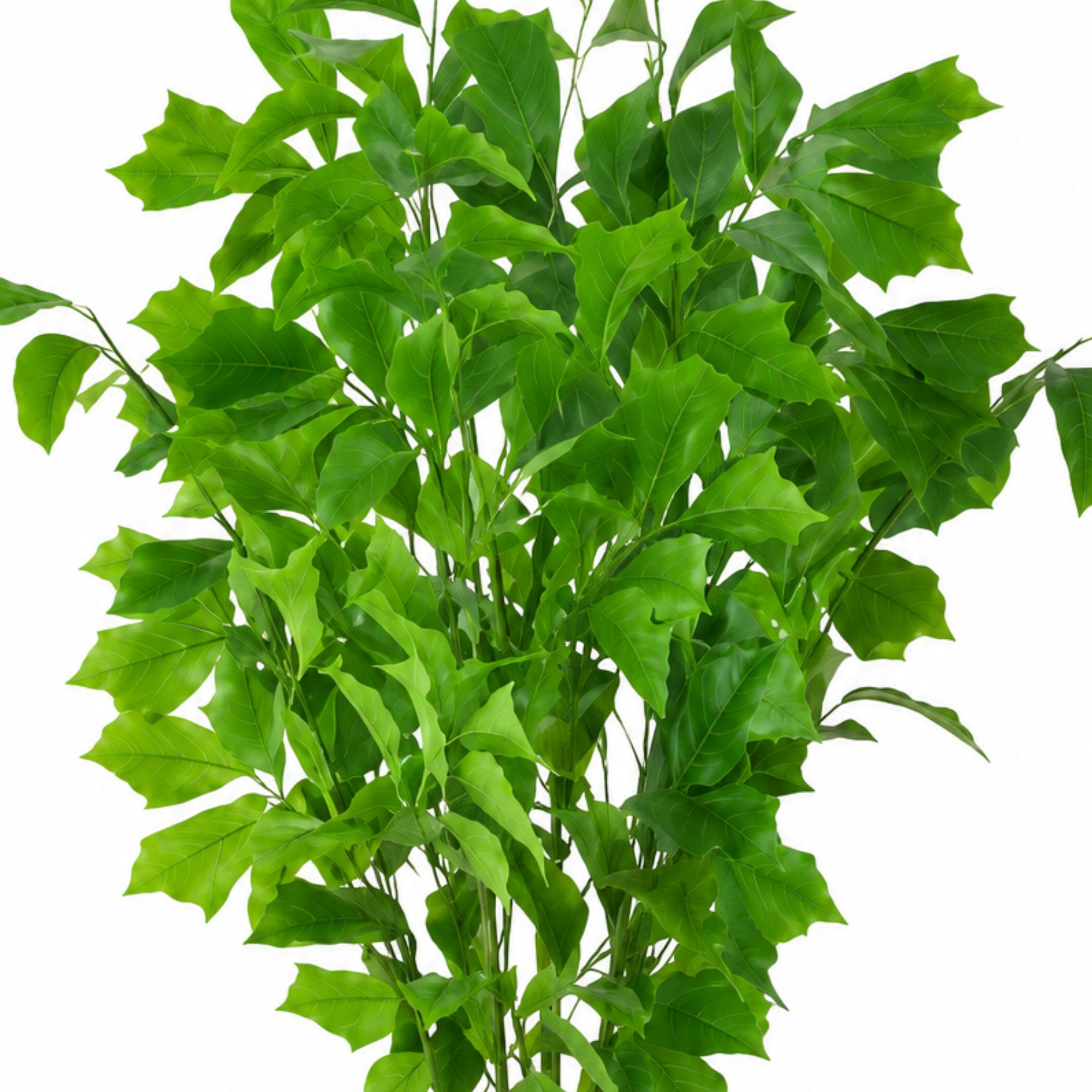 ENUTROF Artificial Ginkgo Maidenhair Tree – 120cm Unique Fan-Leaf Plant for Home Decor ENUTROF