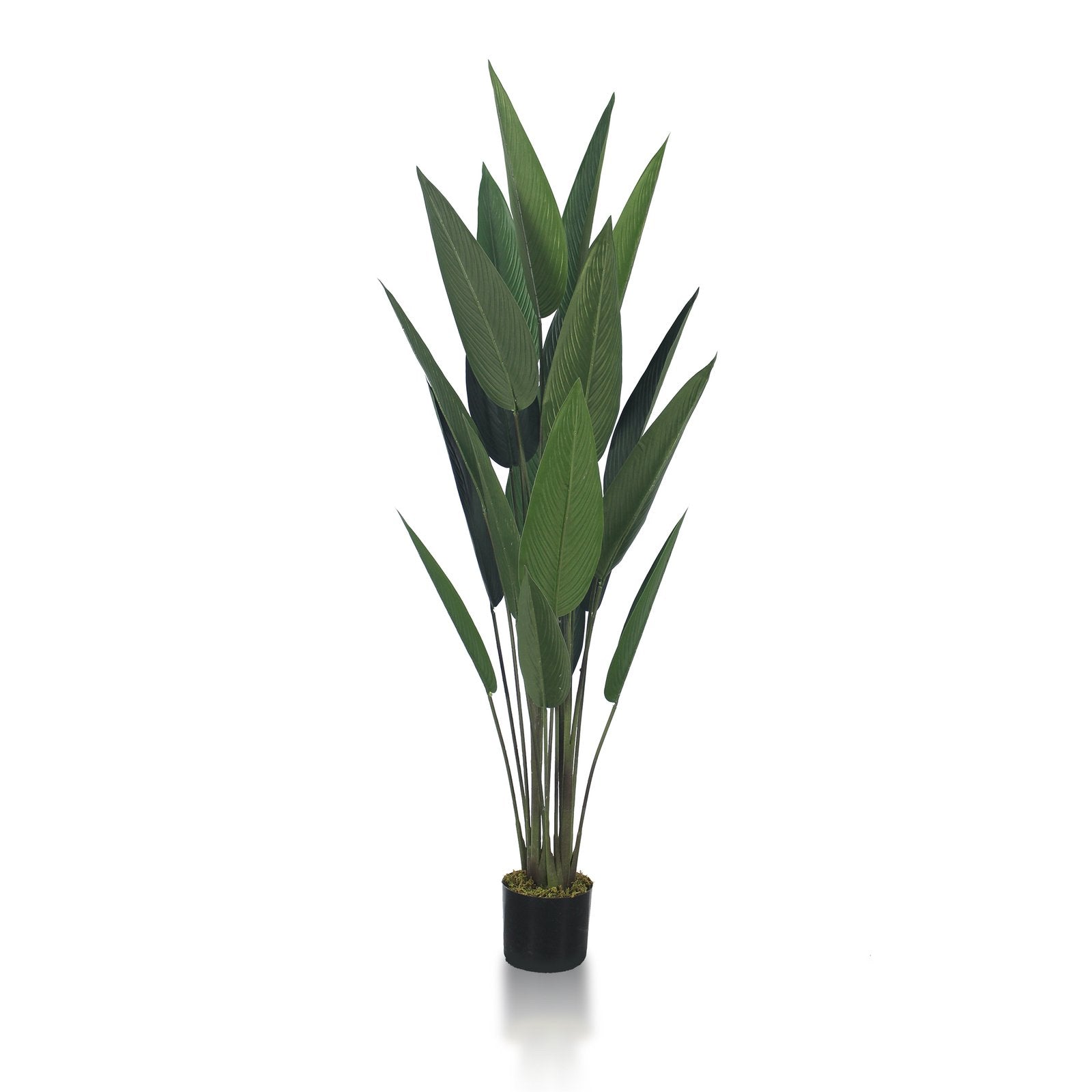 Birds of Paradise Artificial Plant With Basic White Pot || 140cm Height