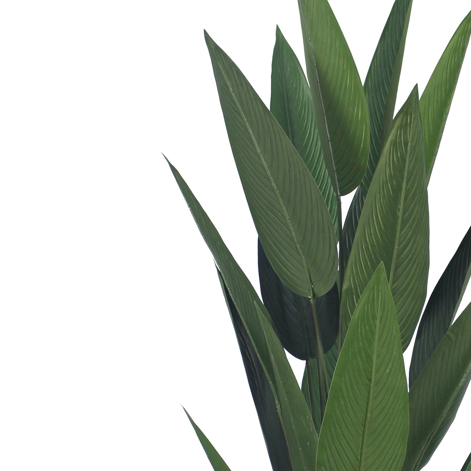 Birds of Paradise Artificial Plant With Basic White Pot || 140cm Height