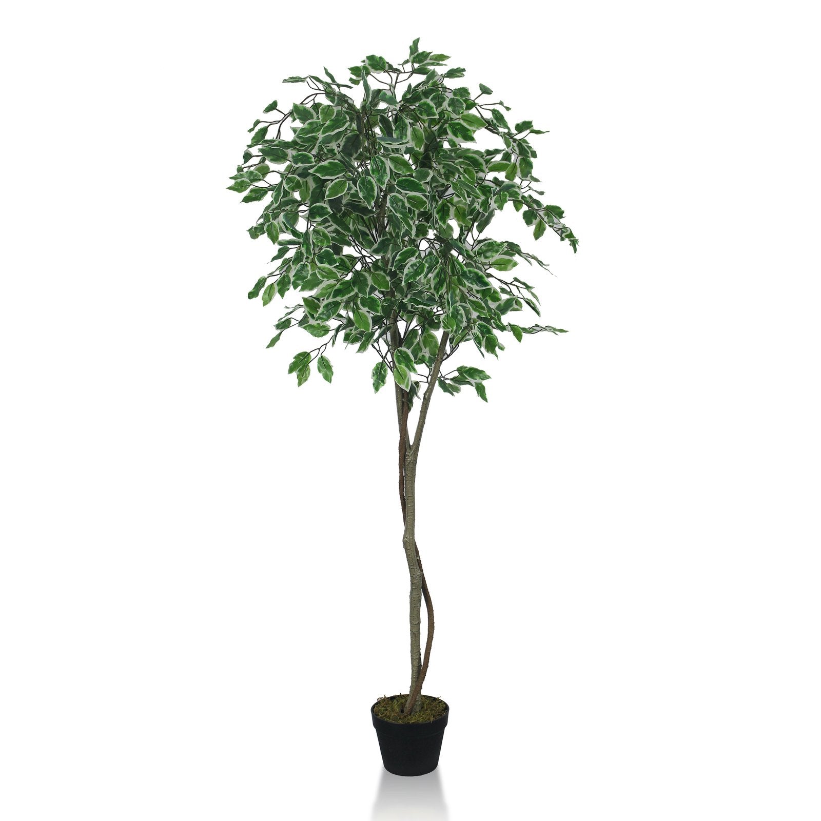 Elegant ficus tree Artificial Plants With Basic White Pot