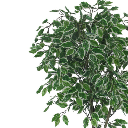 Elegant ficus tree Artificial Plants With Basic White Pot