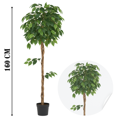 5 ft Artificial Ficus Plant | Realistic Indoor Green Tree Décor Enutrof Decor