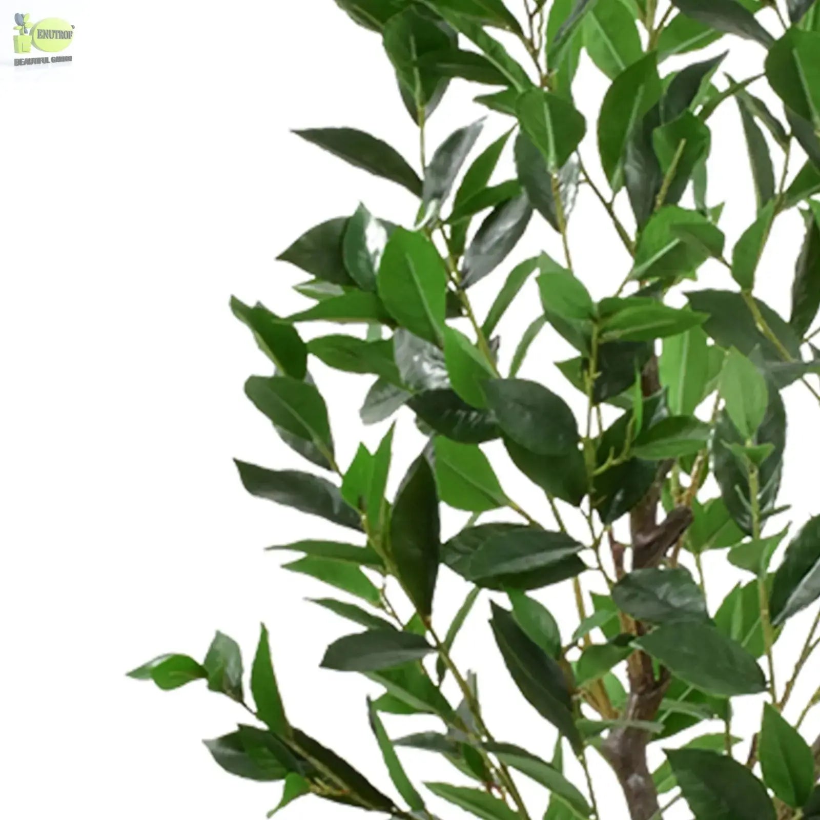 4ft Artificial Olive Plant – Indoor/Outdoor Natural Look - Enutrof Decor