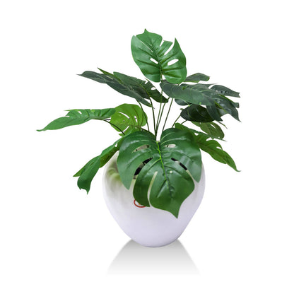 Swiss cheese Plant Real Touch Artificial Plant With Basic Pot|| Size:56 Cm(pack of 2)