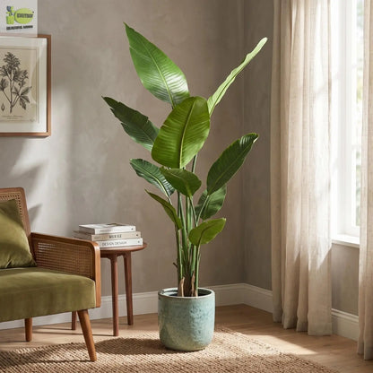 5 ft Artificial Banana tree | Realistic Tropical Indoor Décor Enutrof Decor