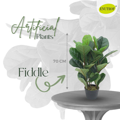 Fiddle Artificial Plants With Basic White Pot ||70cm Height