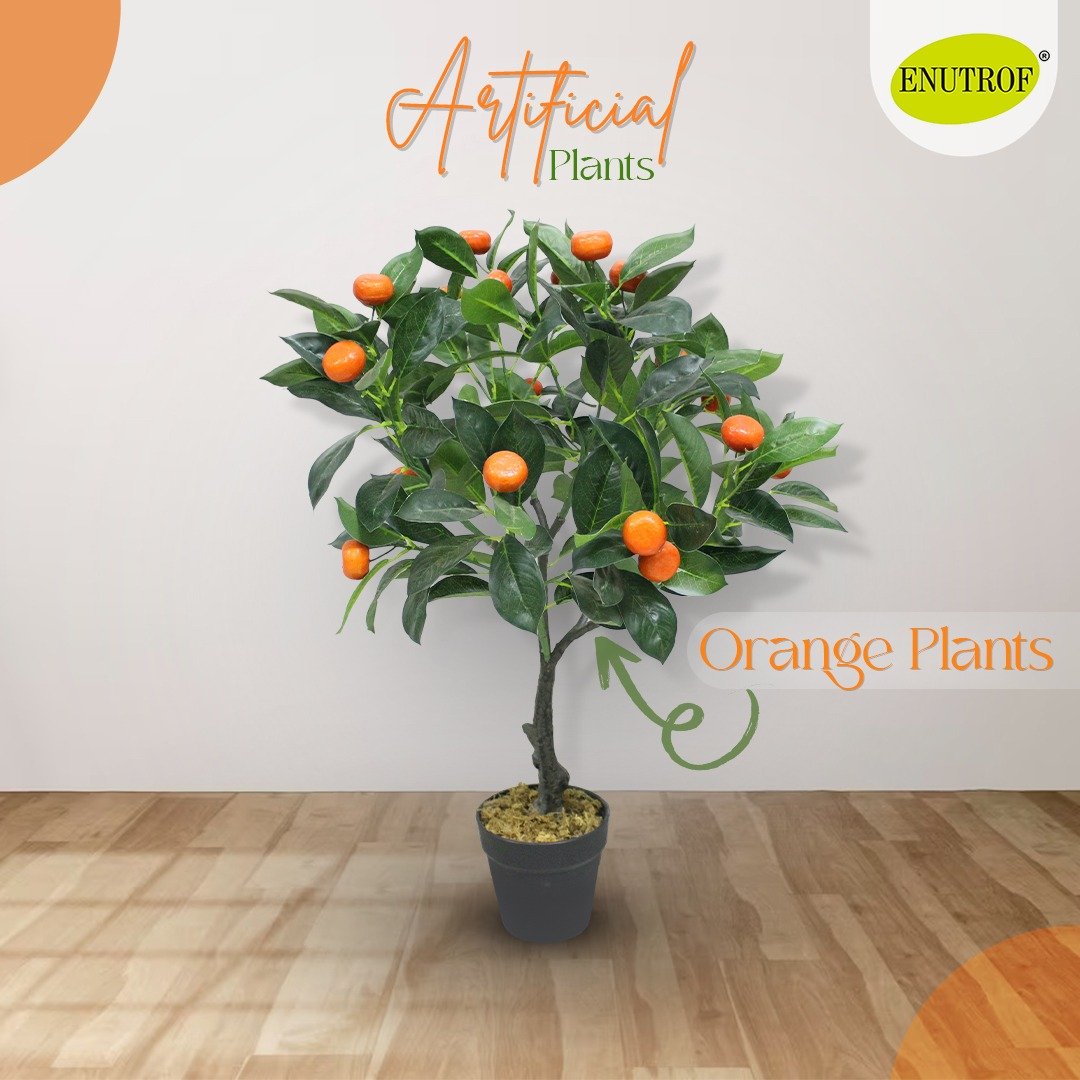 Orange Artificial Plants With Basic White Pot ||70 Cm Height