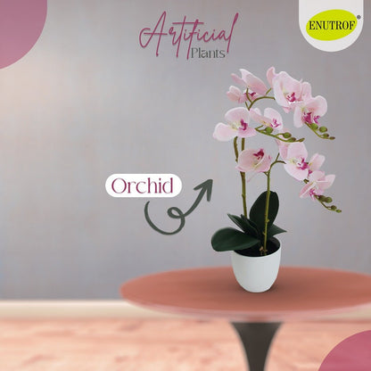 Artificial Orchid Plant With Basic White Pot || 50 CM Height